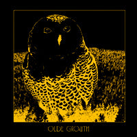 Olde Growth - The Owl (LP) Cover Art