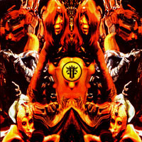 Farflung - Live at 013 Roadburn 2009 (Color) (2LP) Cover Art